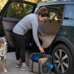 Dog owner setting up a tan rear seat cover and simple travel tote beside a wagon before a dog road trip