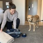 Dog owner setting up a blanket and travel bag in a pet-friendly hotel room while a calm dog waits nearby